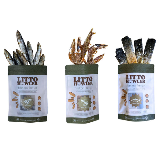 Founder’s Choice: Catch of the Day Seafood Sampler