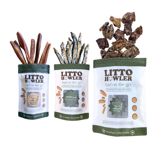 Founder’s Choice: From Jess, With Love