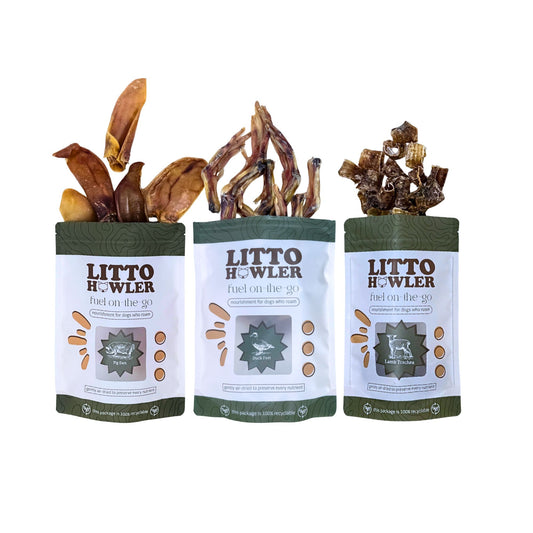 Founder's Choice: Litto Chompers