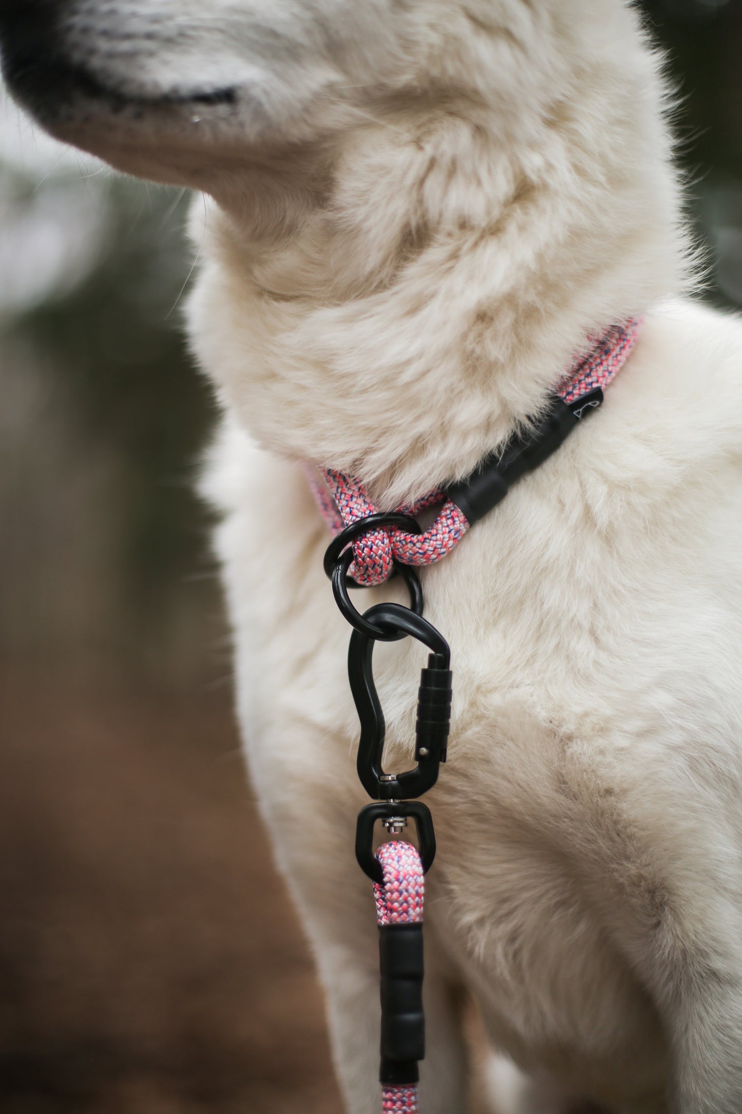 Rope Slip Collar - Wild Aster 10mm