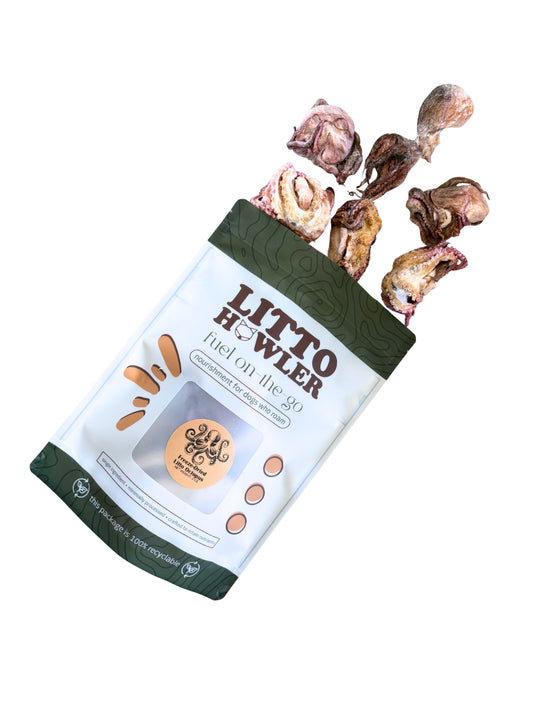 Freeze-Dried Litto Octopus