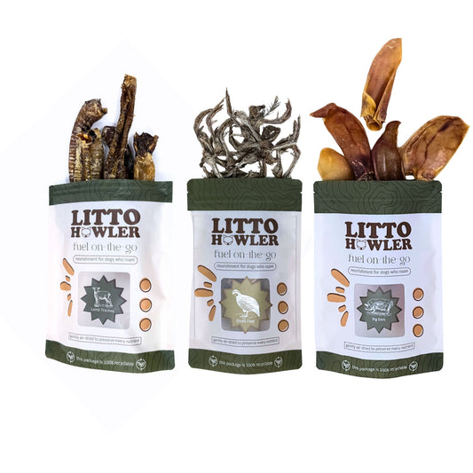 Founder's Choice: Litto Chompers