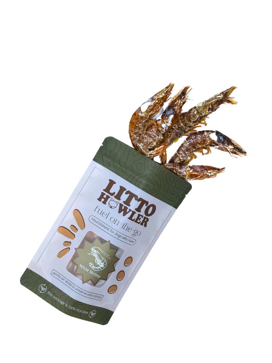 White Shrimp