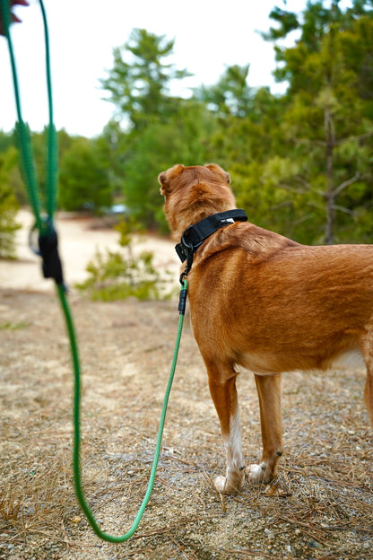 Ekko Leash - 7 + 8mm