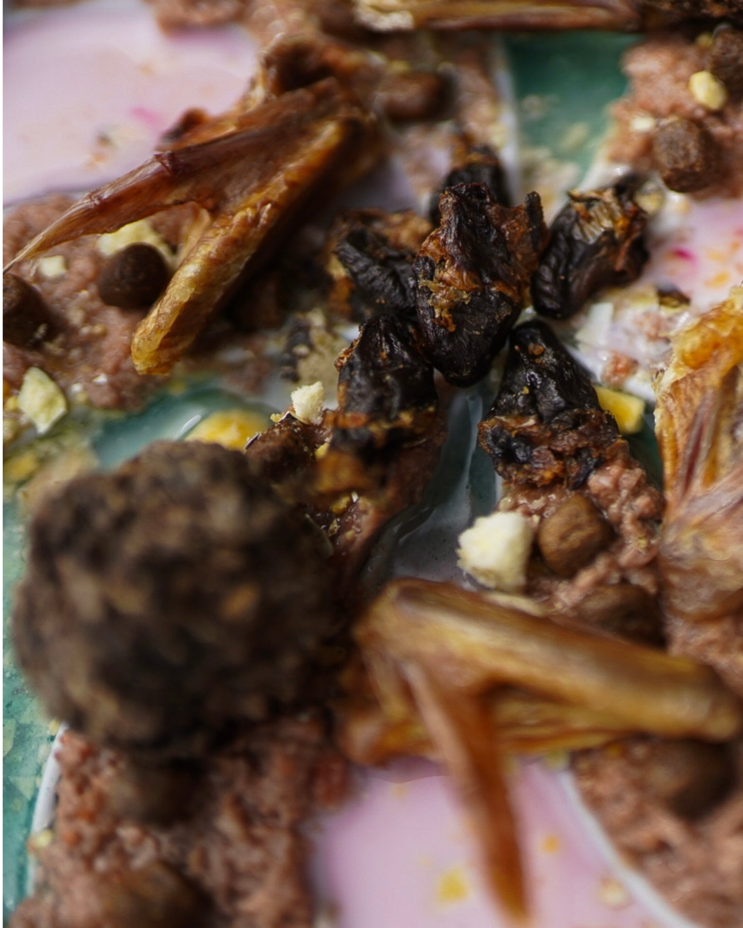 Dehydrated Whole Prey Quail Bites | 3 oz