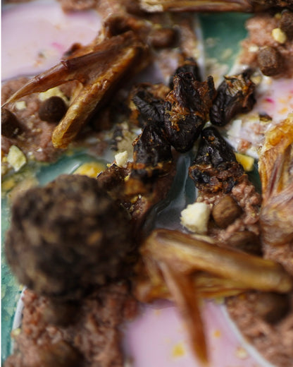 Dehydrated Whole Prey Quail Bites | 3 oz