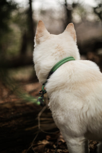 Rope Slip Collar - Sage Meadow 7mm