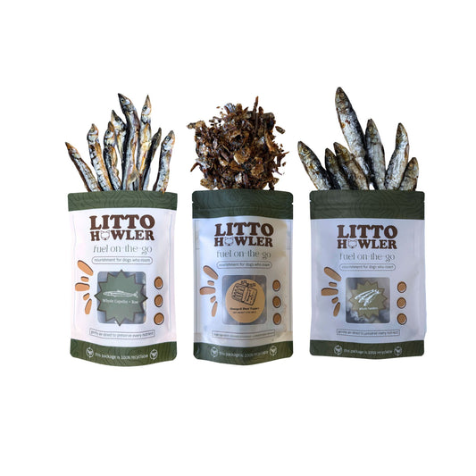 Founder’s Choice: Catch of the Day Seafood Sampler