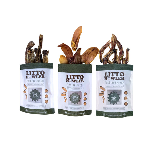 Founder's Choice: Litto Chompers
