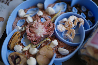 Freeze-Dried Litto Octopus