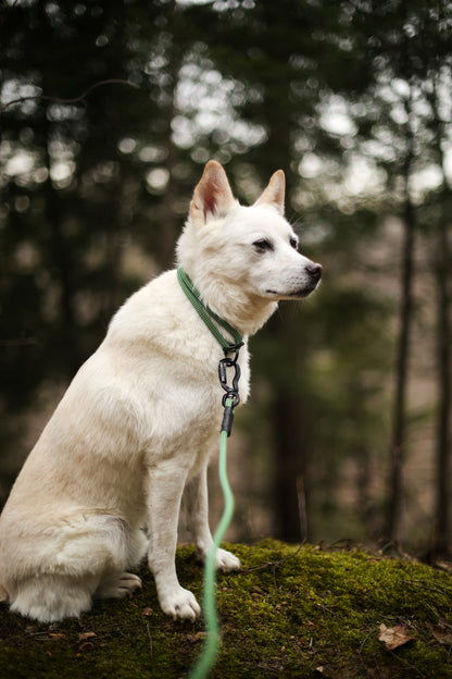 Rope Slip Collar - Sage Meadow 7mm
