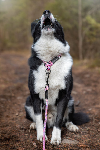 Rope Slip Collar - Wild Aster 10mm