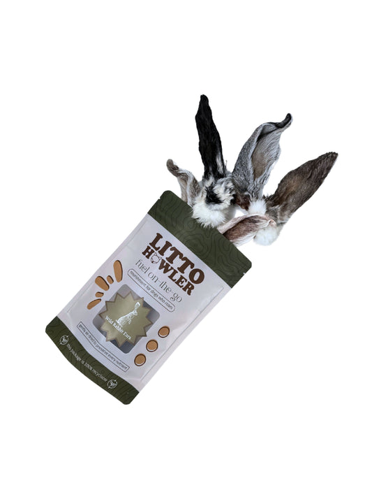 Wild Rabbit Ears