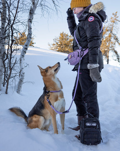 Adventure Pack - Lavender