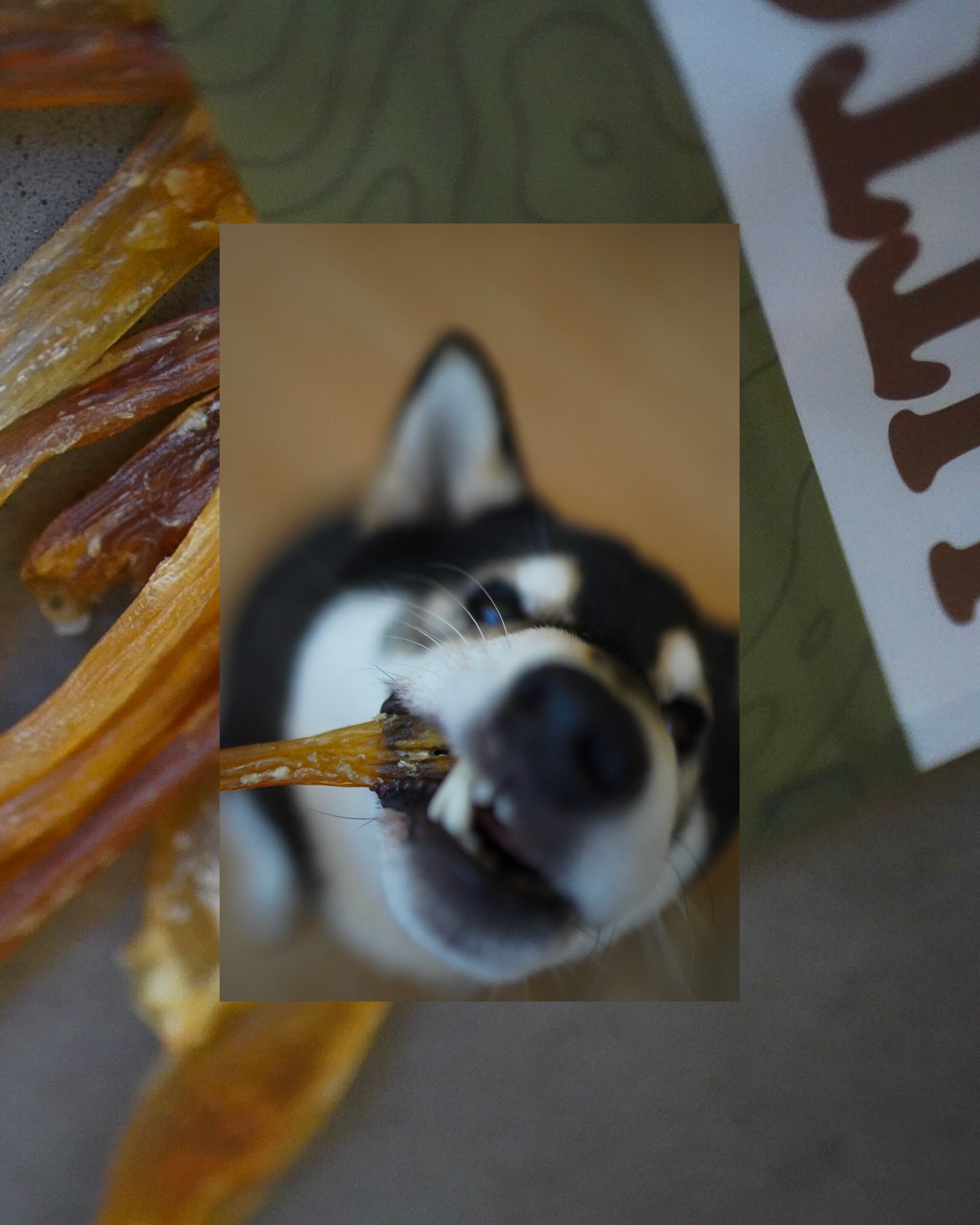Dehydrated Grass-Fed Beef Tendon Sticks | 4 oz