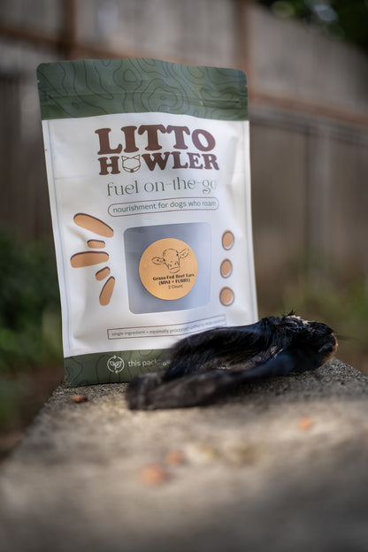 Dehydrated Grass-Fed Beef Ear Chew (Mini + Furry) | 2 Count