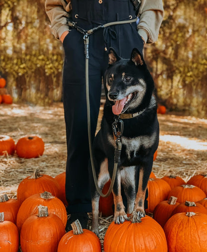 Kelso Hands-Free Leash - 7 + 8mm