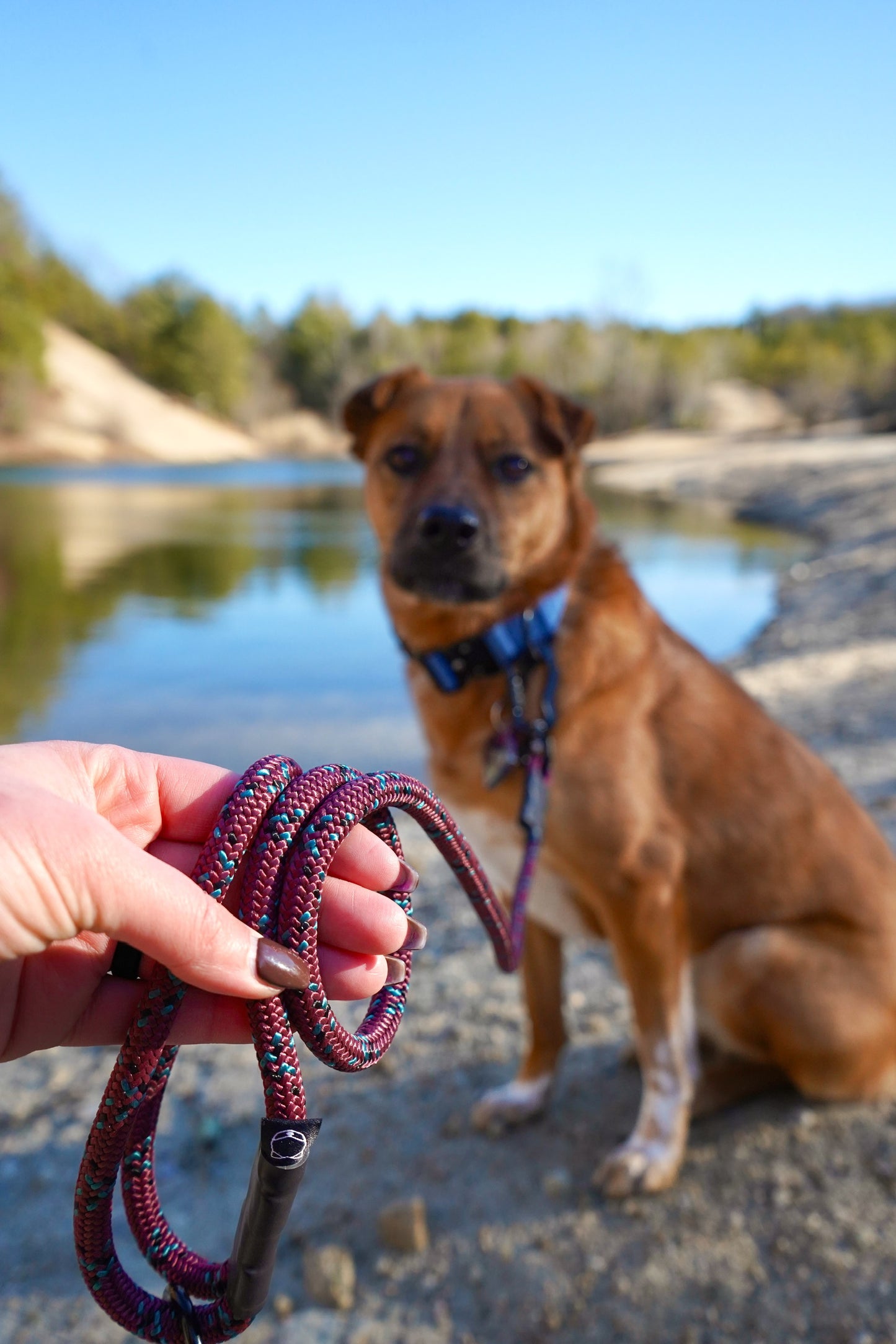 Ekko Leash - 7 + 8mm
