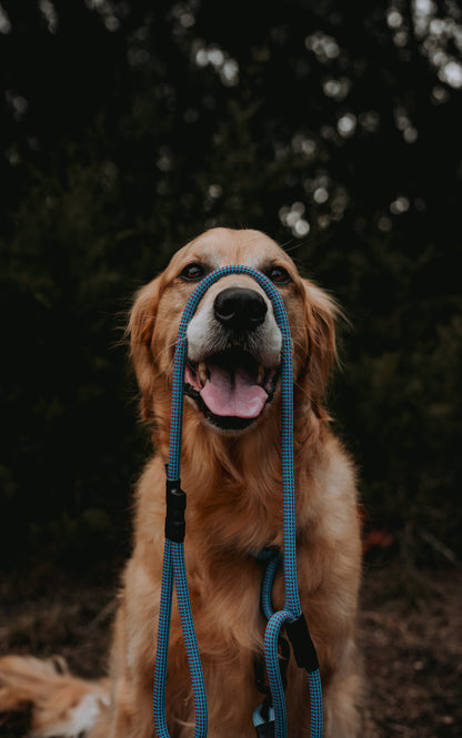 Rope Slip Collar - Cerulean Polar 9mm