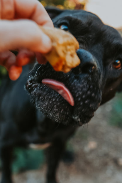 Freeze-Dried Chicken Heart