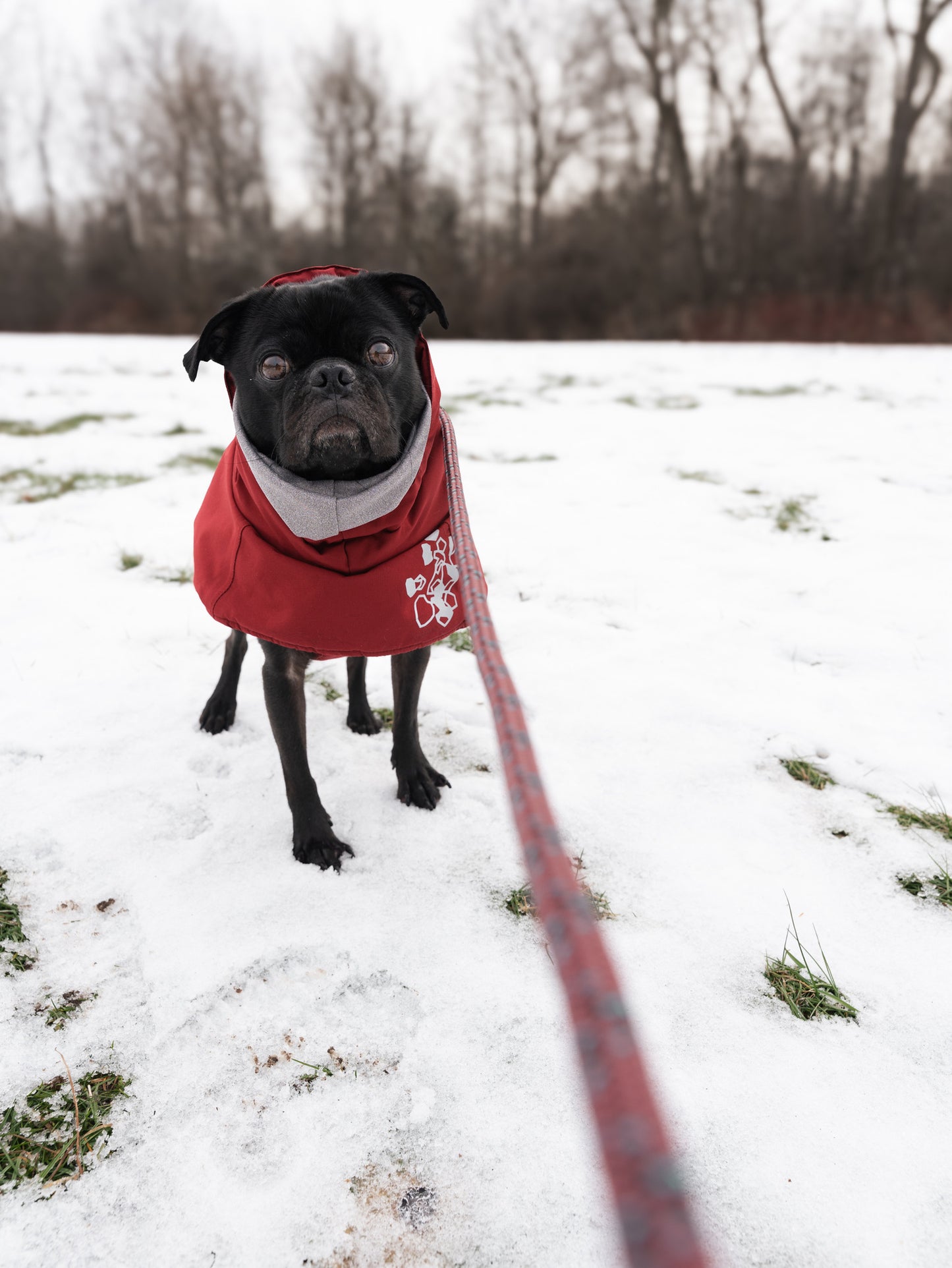 Ekko Leash - 7 + 8mm