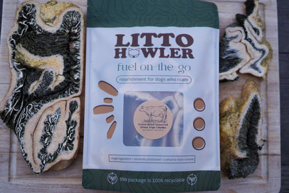 Freeze-Dried Grass-Fed Beef Green Tripe Chunks | 3 oz