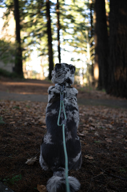 Noctis Traffic Lead - 9 + 10mm