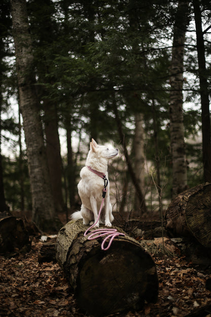 Ekko Leash - 9 + 10mm