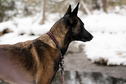 Rope Slip Collar - Ember Frost 8mm