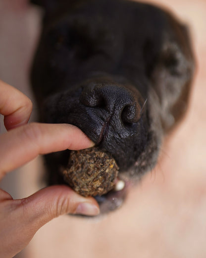 Dehydrated Whole Prey Quail Bites | 3 oz