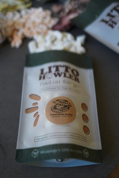 Freeze-Dried Scallop