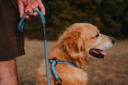 Rope Slip Collar - Cerulean Polar 9mm