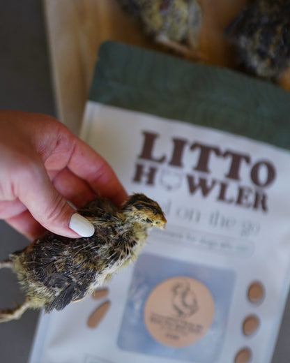 Freeze-Dried Whole Prey 2- Week Old Quail Chicks