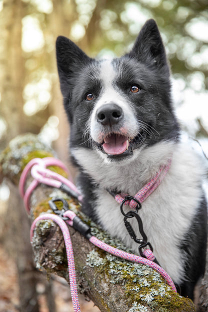 Rope Slip Collar - Wild Aster 10mm