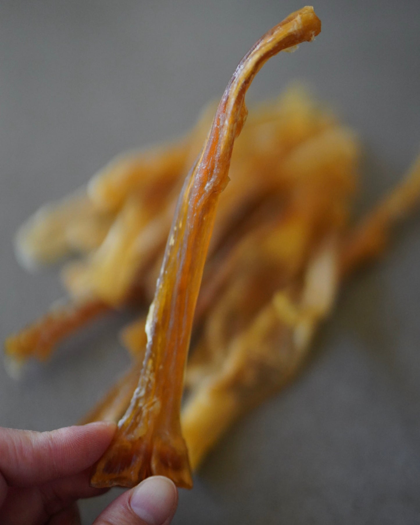 Dehydrated Grass-Fed Beef Tendon Sticks | 4 oz