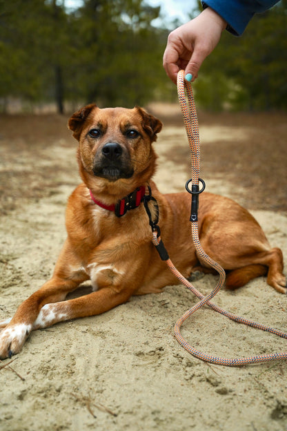 Ekko Leash - 9 + 10mm