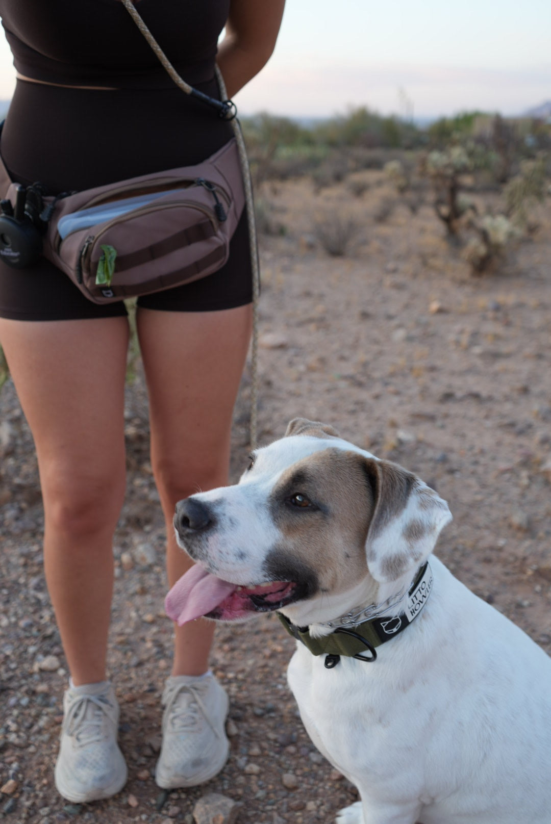 Adjustable Hands-Free Leash - 7+ 8mm