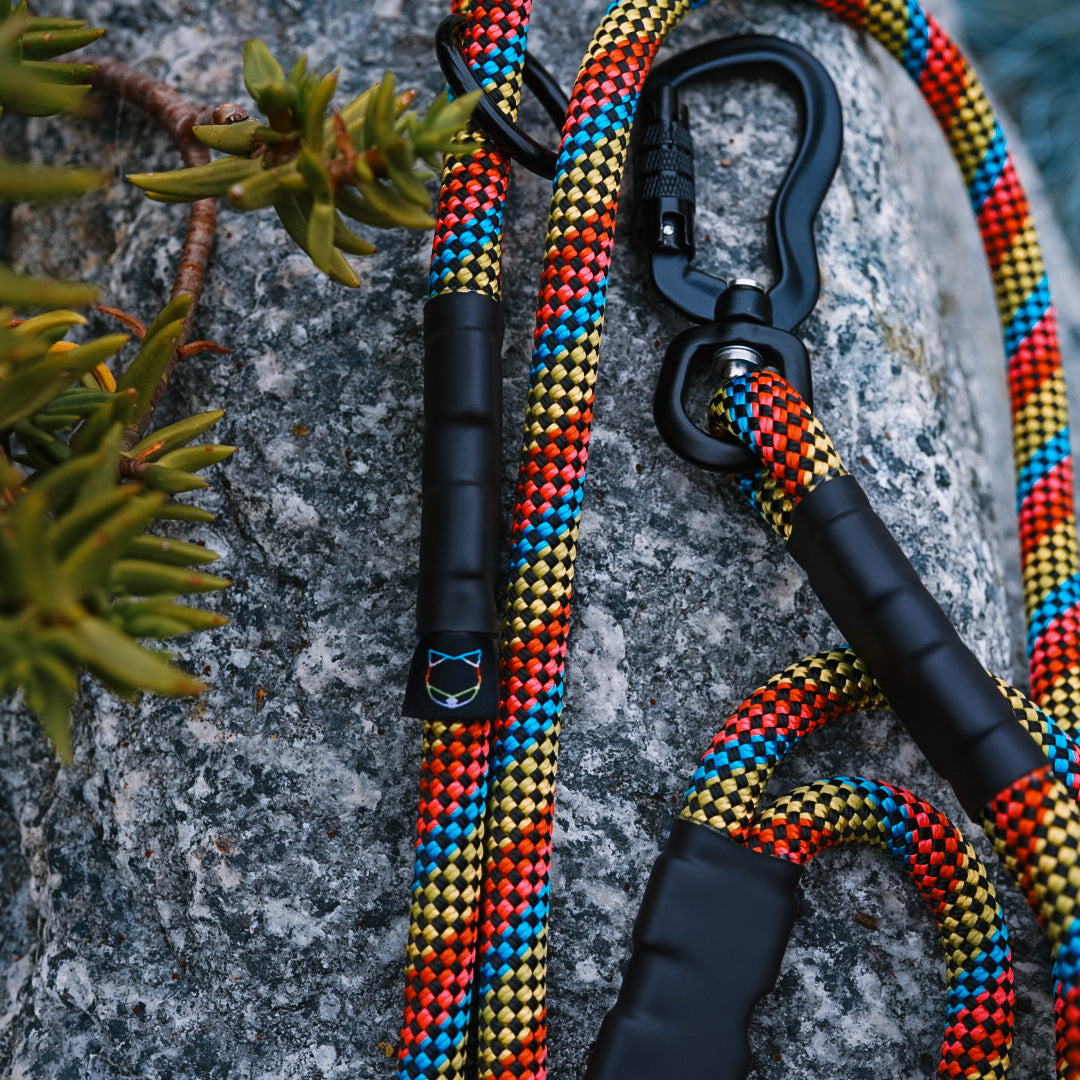 IN STOCK: Ekko Leash - 5 FT - Kalos (Discontinued)