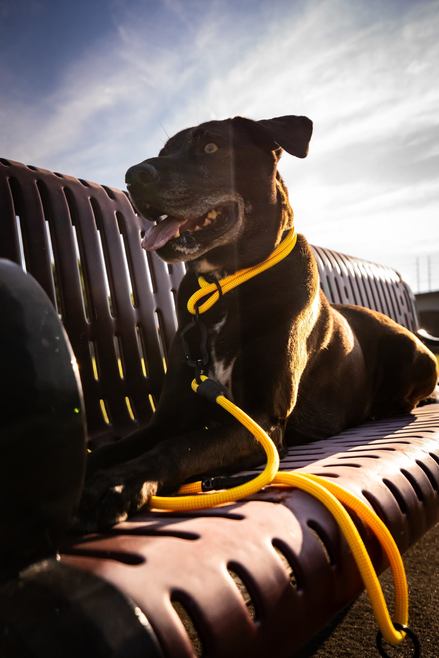 Rope Slip Collar - Midnight Sun 9mm