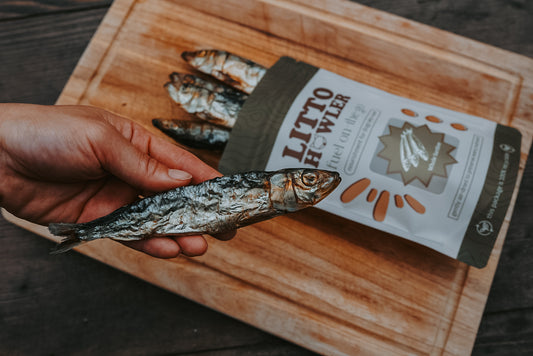 Whole Sardines