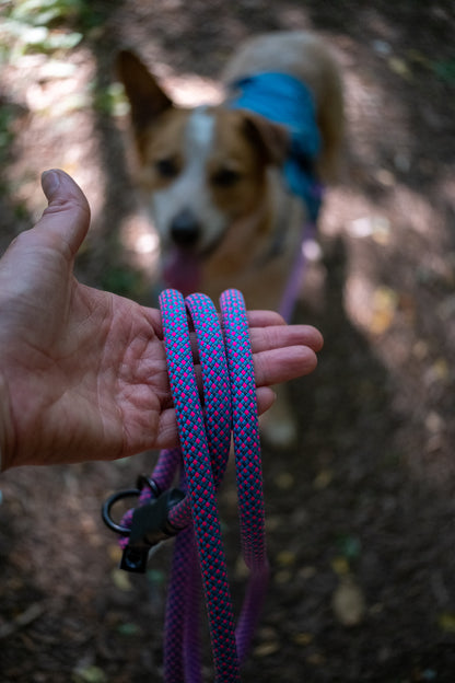 Adjustable Hands-Free Leash - 9 + 10mm
