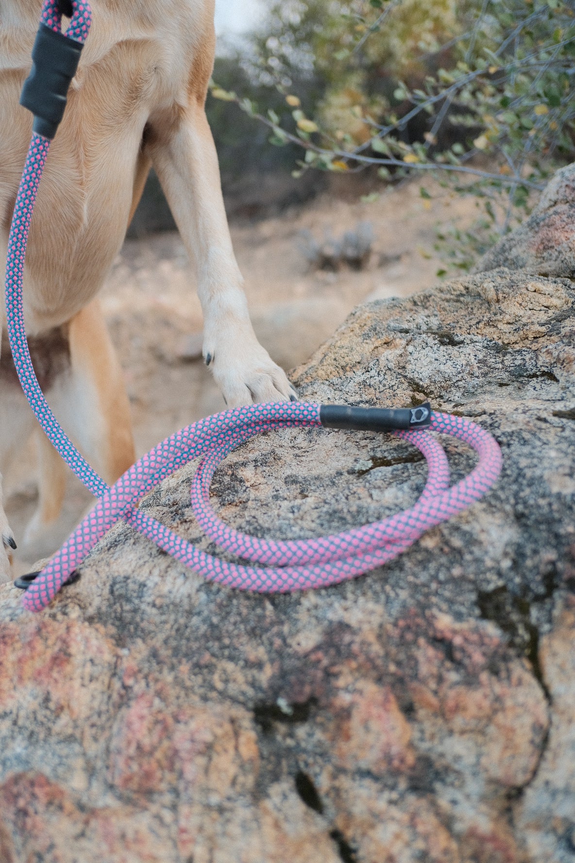 Ekko Leash - 9 + 10mm – Litto Howler