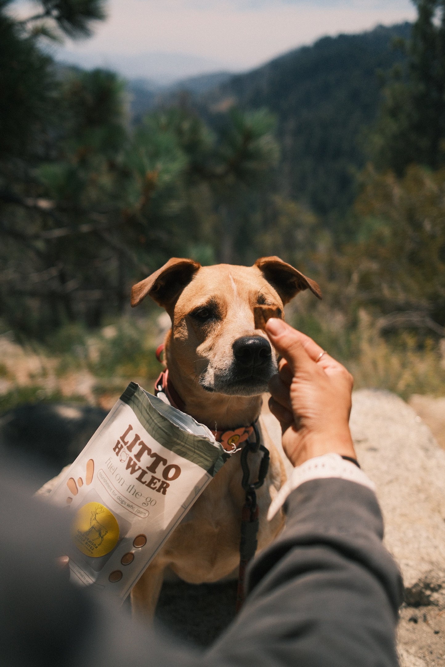 Wild Venison Bites | 3 oz