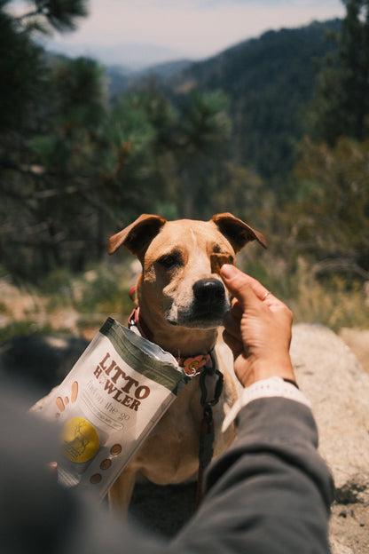 Wild Venison Bites | 3 oz