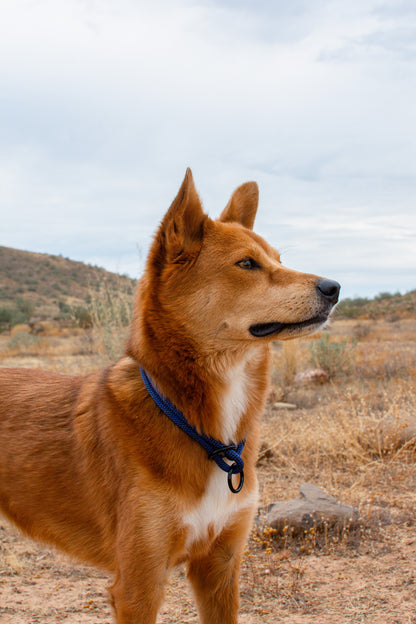 Rope Slip Collar - Quartzite Indigo 8mm