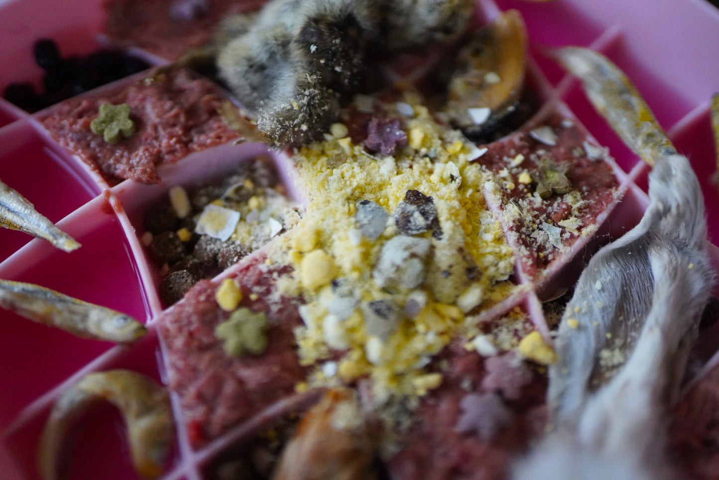 Freeze-Dried Quail Egg Topper