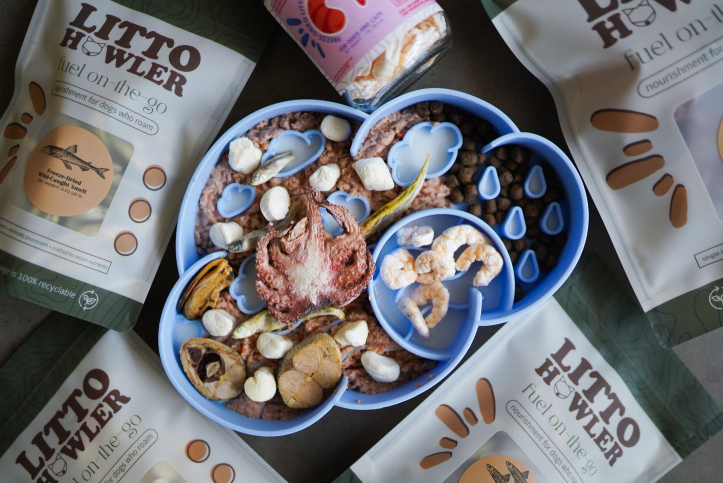 Freeze-Dried Litto Octopus