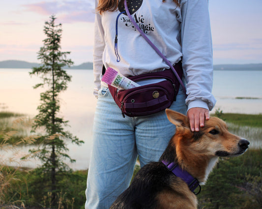 Adventure Pack - Amethyst