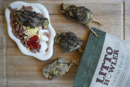 Freeze-Dried Quail Egg Topper