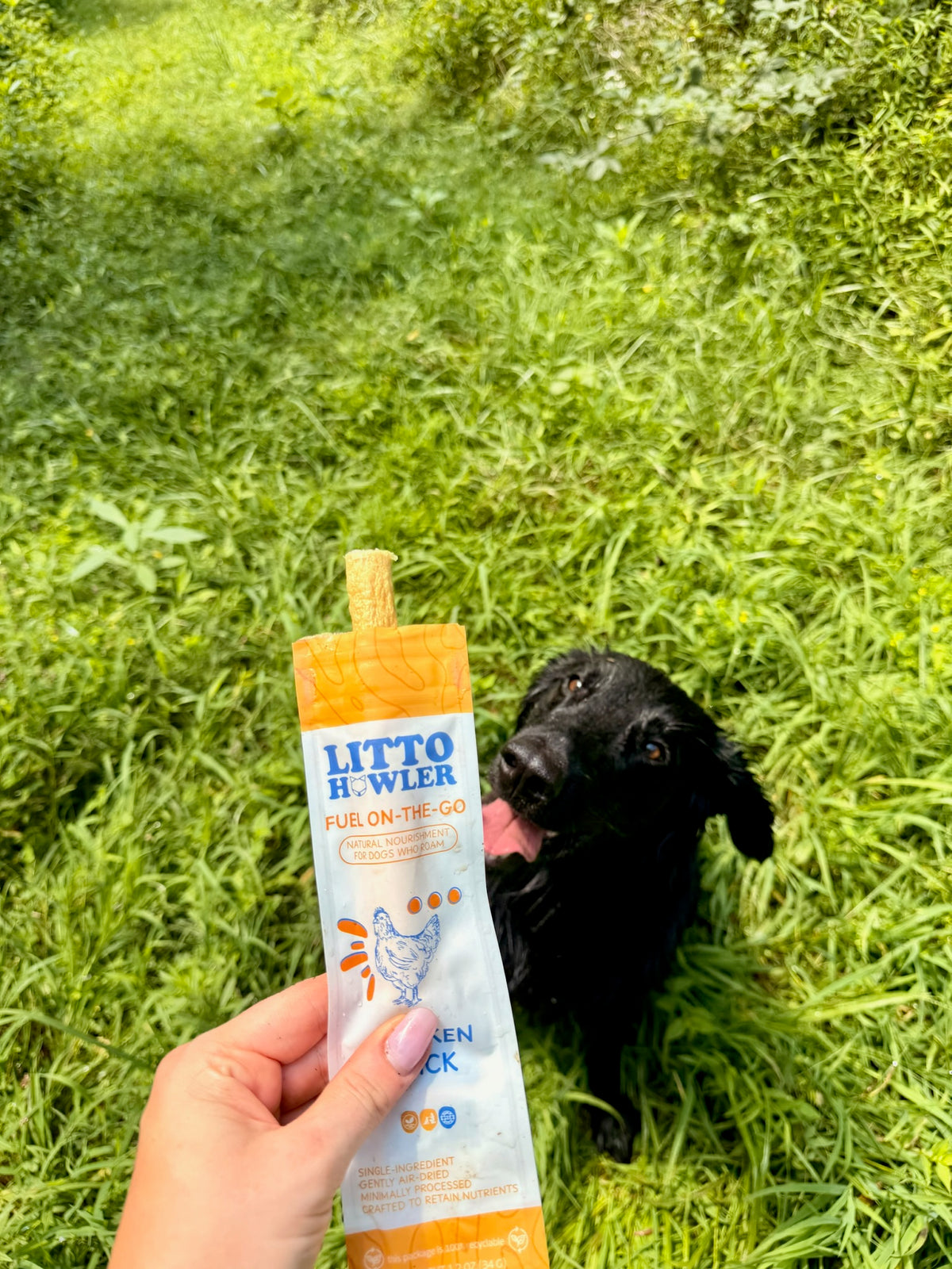Chicken Stick